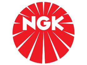 Catálogo Ngk